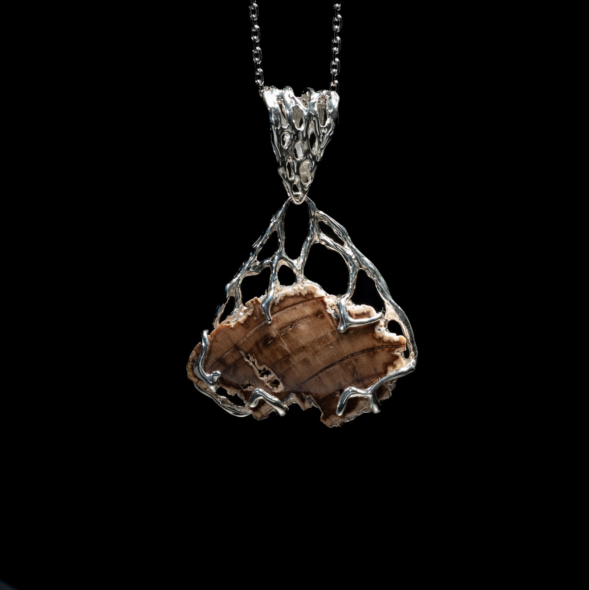 Кулон зі скам'янілем деревом